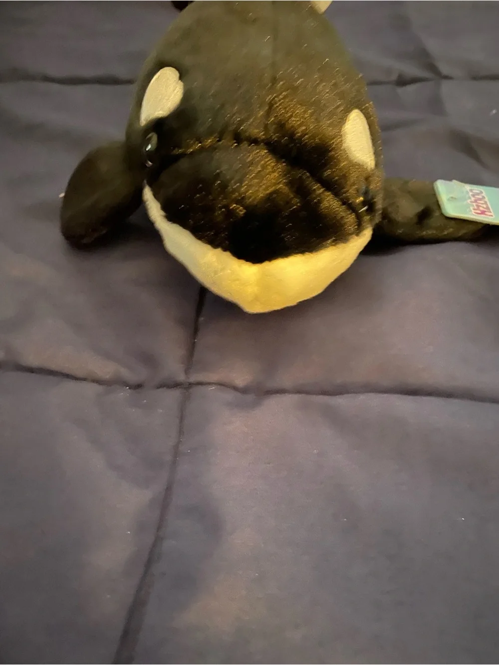 Ocean Plush Killer Whale Stuffed Animal - Black & White